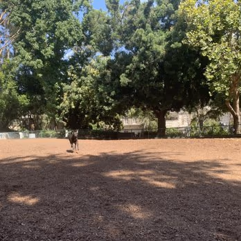 Dog Park at William S. Hart Park photo 1